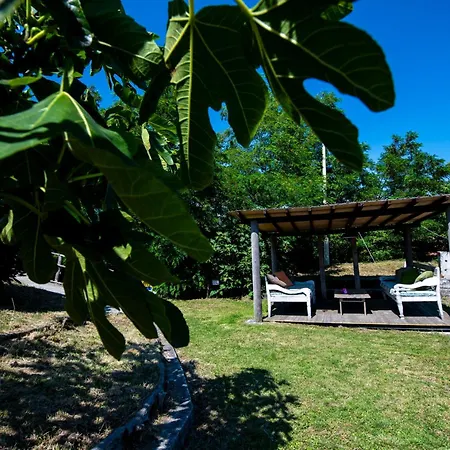 207 - Mimosa, Terrazza, Giardino E Piscina - Cherry House Apartment *