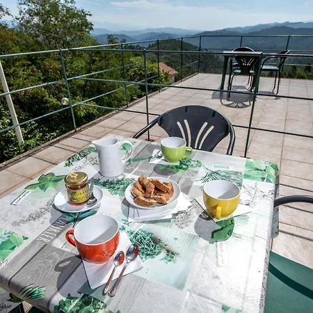 Apartment 207 - Mimosa, Terrazza, Giardino E Piscina - Cherry House