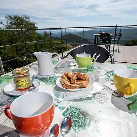 Apartment 207 - Mimosa, Terrazza, Giardino E Piscina - Cherry House Carro