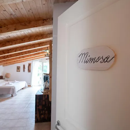 Appartamento 207 - Mimosa, Terrazza, Giardino E Piscina - Cherry House *