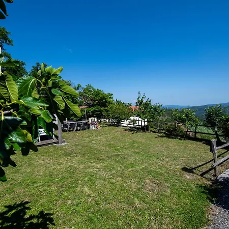 Appartamento 207 - Mimosa, Terrazza, Giardino E Piscina - Cherry House *
